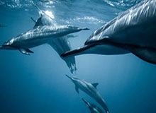 华体会体育：让运动变成生活的温度